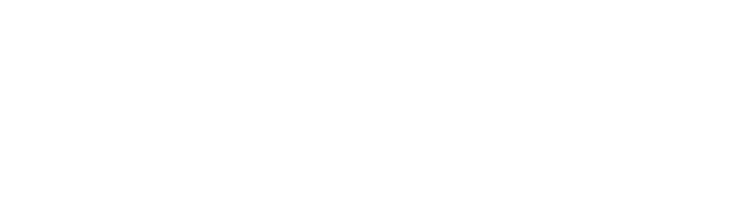 westernDigital