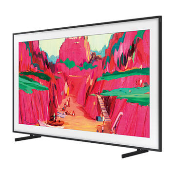 The Frame Pro LS03FW